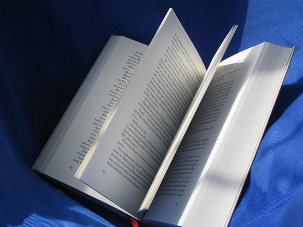 Diseño y maquetación libro 2